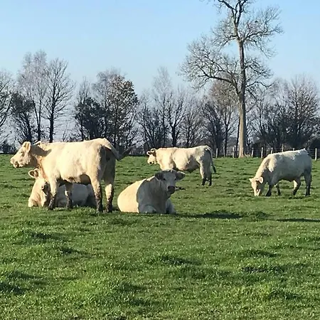 & Maison De Charmes Avec Sauna & Hammam فيلة Audrieu