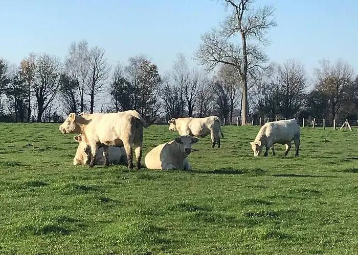 & Maison De Charmes Avec Sauna & Hammam Βίλα Audrieu